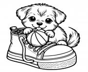 Coloriage chien ballon de basket ball