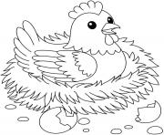 Coloriage poule maternelle dans nid avec oeufs